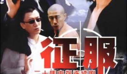 电视征服在线观看,在线观看的视听盛宴