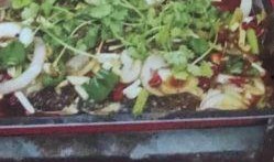 烤鱼上瘾爆料视频大全,揭秘热门爆料视频大全！