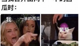 娱乐圈吃瓜爆料玩游戏