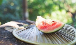 免费吃瓜入口附近,一场味蕾与心灵的盛宴