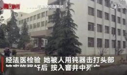 衡阳师院爆料案件真相视频,揭开校园疑云背后的惊人内幕