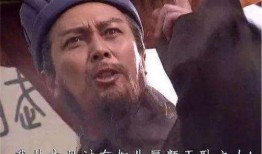 诸葛亮爆料博主视频播放,揭秘博主视频播放背后的秘密