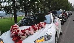 南宁租车爆料事件最新,揭秘背后惊人真相，行业乱象引发关注