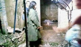 罪爱杨锁在线观看