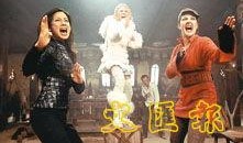 神探俏娇娃在线观看,探案奇缘，智慧与美貌的完美碰撞