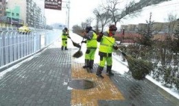 环卫工头条爆料新闻,揭秘城市清洁背后的感人故事