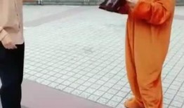 搞笑视频及爆料网红