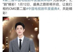 爆料之王王逸简介视频,揭秘其传奇经历与影响力