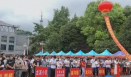 东莞大岭山爆料新闻事件,真相与影响揭秘