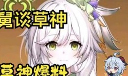 草神爆料官方视频