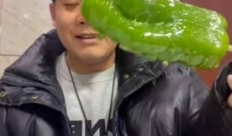 网红蔡二哥吃瓜图片高清,高清图曝光引网友热议