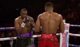 约书亚在线观看免费,免费在线观看，探索信仰与勇气的传奇之旅