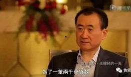 王健林爆料视频,万达帝国背后的真实故事