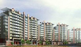 佛山爆料楼市最新消息今天,今日热点解读，房价走势与政策动向一览