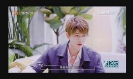 爆料任嘉伦对赌事件视频,揭秘背后真相与行业隐忧