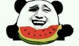 娱乐圈的吃瓜影帝贫道,娱乐圈的吃瓜传奇