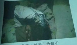 囚禁之时在线观看,揭秘虚拟世界中的真实囚禁体验