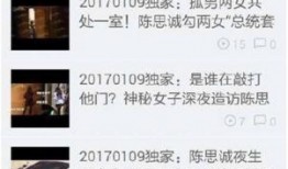 卓伟爆料陈思诚视频,揭秘娱乐圈夫妻关系背后的真相