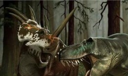 吃鸡小恐龙爆料视频,独家爆料视频深度解析