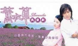 薰衣草连续剧在线观看,浪漫邂逅，青春记忆