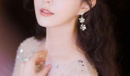 薇娅爆料范冰冰视频在线观看,独家视频曝光