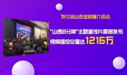 山西 卫视在线直播观看,尽享精彩瞬间，畅游视听盛宴