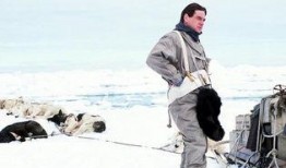 远征南极在线观看,跟随远征南极的征途