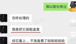 网红吃瓜猛料网站视频