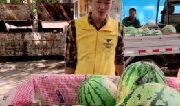 今日爆料搞笑段子,段子手们的欢乐盛宴，笑出腹肌的搞笑瞬间