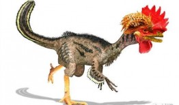 吃鸡小恐龙爆料视频,独家爆料视频深度解析