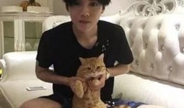 唐小鱼爆料结婚了吗视频,甜蜜瞬间见证爱情升华