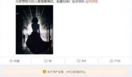 卓伟爆料陈思诚视频,揭秘娱乐圈夫妻关系背后的真相