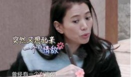 袁咏仪爆料丈夫视频大全,甜蜜瞬间与温馨日常