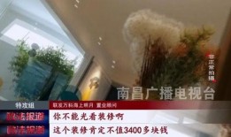 万科装修爆料事件视频播放,揭秘豪宅装修背后的真相