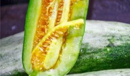 网红吃瓜视频的特点,娱乐狂欢背后的真相与争议