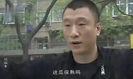 电视征服在线观看,在线观看的视听盛宴
