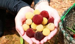 藿藿最新技能爆料,解锁神秘力量，战力再升级！