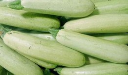 云南新瓜最新爆料,揭秘神秘事件背后的真相