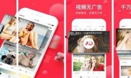 今日西瓜爆料视频最新版,揭秘娱乐圈最新动态，精彩内容抢先看！