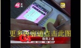 如何爆料广州g4新闻,揭秘事件背后真相