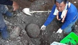 锅头盖在线观看,在线重温经典，感受民间传奇魅力