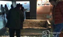 重庆杨小姐最新爆料,揭秘事件背后惊人真相