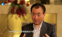 王健林爆料视频,万达帝国背后的真实故事