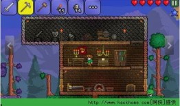 泰拉瑞亚1.5爆料视频,爆料视频深度解析