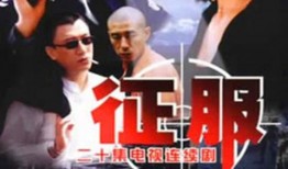 电视征服在线观看,在线观看的视听盛宴