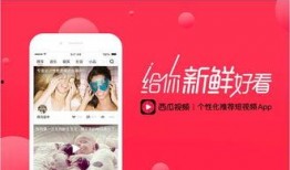 今日西瓜爆料视频最新版,揭秘娱乐圈最新动态，精彩内容抢先看！