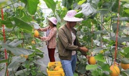在景区吃瓜的网红,美食美景两不误