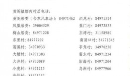 许镇幼儿园爆料视频最新,揭秘幼儿园真实状况