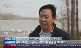 三门峡今日爆料新闻直播