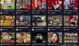 餐饮爆料4秒视频播放大全,4秒短视频带你速览精彩瞬间